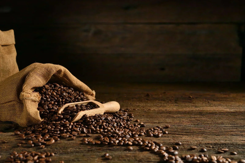 Fair for Life coffee in a large bag spread out on the floor