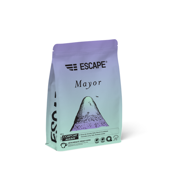 Mayor