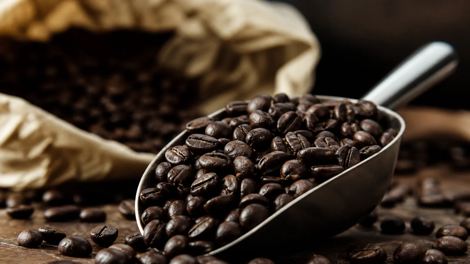 Dark-roast coffee beans in a scoop in front of a roaster’s coffee bag